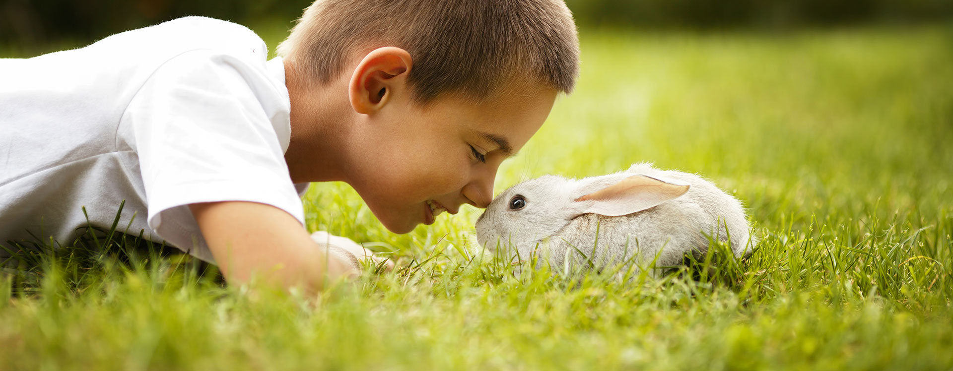 Exotic Pet Services in Warwick, NY Country Willow Veterinary Hospital